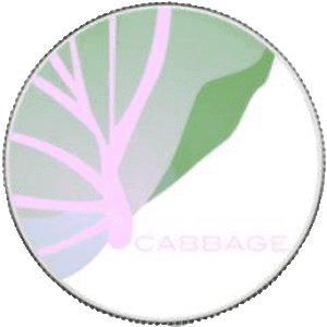 CabbageUnit live price