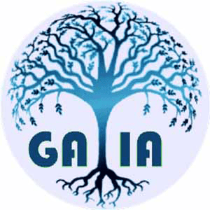 GAIA Platform Converter