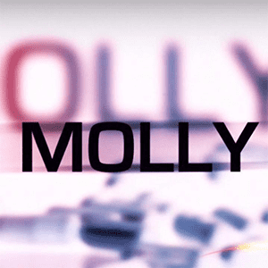 MollyCoin To USD