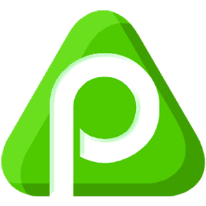 PayPeer