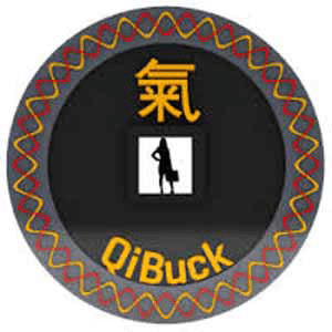 Buy QuBuck Coin cheap