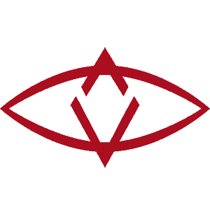 SingularDTV