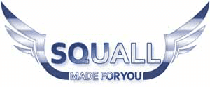 Squall Coin live price