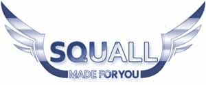 Squall Coin Converter