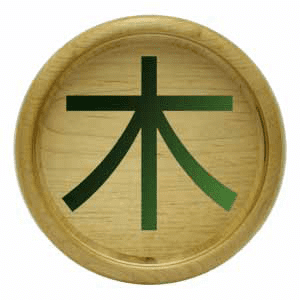 Wood Coin