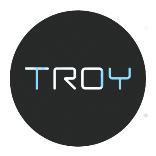 Buy TROY cheap